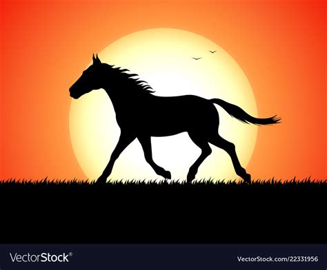 Silhouette of a running horse on sunset background