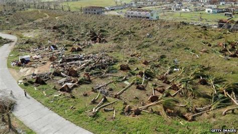 Typhoon wreaks havoc on agriculture with over a million farmers ...