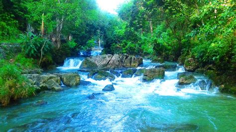 The Vlogging Truth: Noisy River, Manchester, Jamaica.