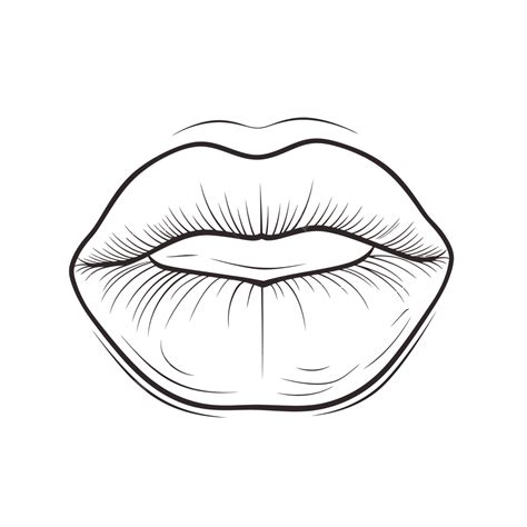 Lips Of Women Mouth Outline Drawing Isolated On White Background Sketch ...