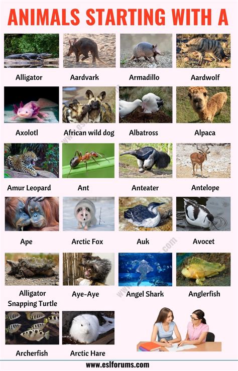 Animals that Start with A: List of 20+ Animals Starting with A in ...