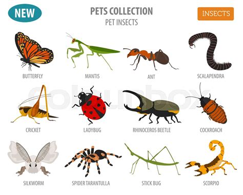 insecto, palo, plano | Vector de archivo | Colourbox