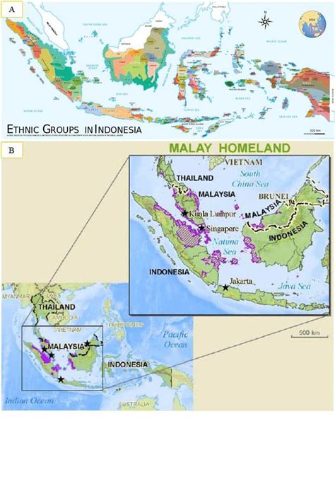 Ethnolinguistic map of Indonesia. (A) Ethnic groups in Indonesia. (B ...