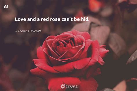 13+ Deep Red Quotes - MaxwellKazia