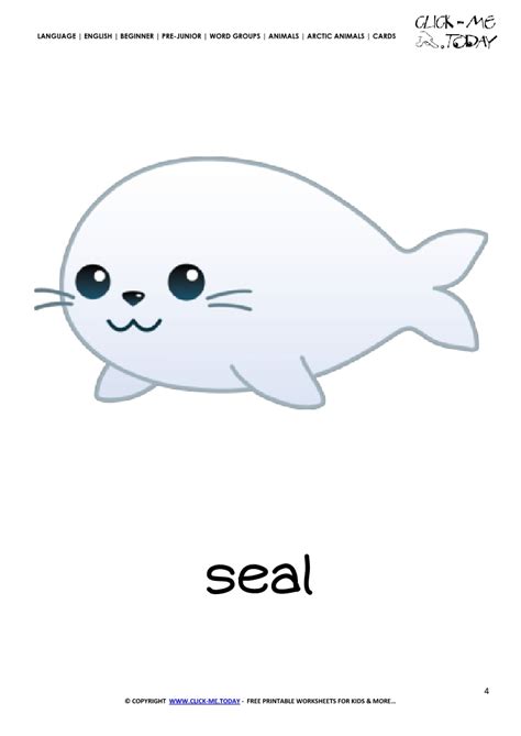 Printable Arctic Animal Seal wall card - Seal flashcard