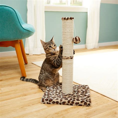 FRISCO 21-in Sisal Cat Scratching Post with Toy, Cheetah - Chewy.com