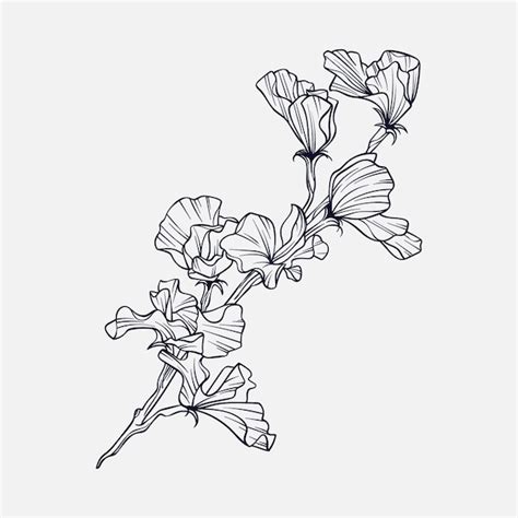 Free Vector | Hand drawn simple flower outline