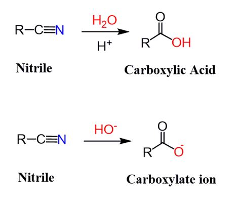 nitrile acid hydrolysis mechanism