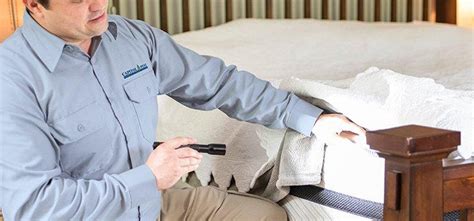 Bed Bug Exterminator Alpharetta, GA - Local Bed Bug Exterminators