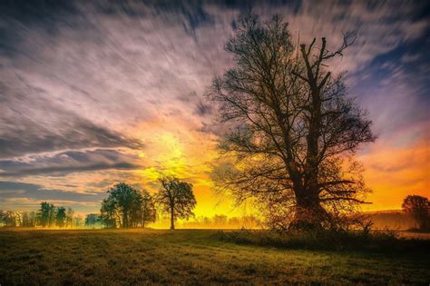 Spring Trees and Sunset Wallpaper, HD Nature 4K Wallpapers, Images and ...