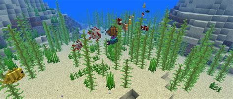 Everything You Need To Know About Tropical Fish Minecraft