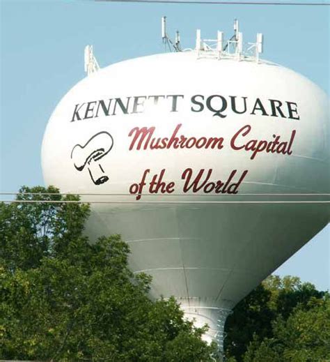 Kennett Square, PA in 2022 | Kennett square, Stuffed mushrooms, Kennet ...