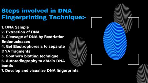 Cureus | DNA Fingerprinting: Use of Autosomal Short Tandem Repeats in ...