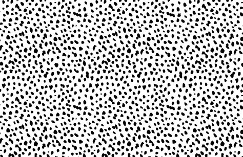 Black & White Dalmatian Print Wallpaper Mural - Hovia | Relief society ...