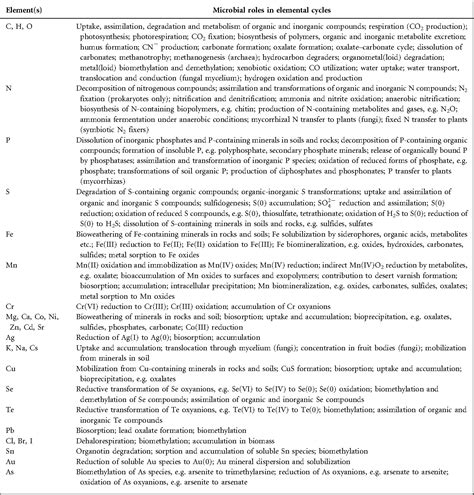 Actinoid Series Elements | Semantic Scholar