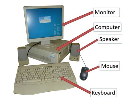 [DIAGRAM] Teeth Labeled Diagram Mouse - MYDIAGRAM.ONLINE