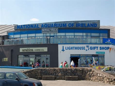 EMERALD ISLE - National Aquarium of Ireland, Galway