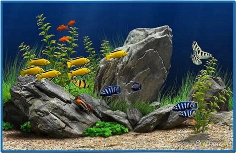 Dream aquarium 3d screensaver - Download free