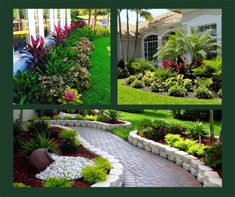 Shrubs – Aventura Nursery & Landscaping Inc