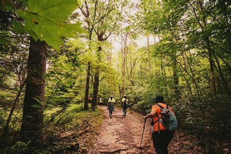 Explore Georgia With These 10 Hiking Trails