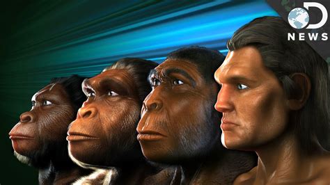 How Do We Know Who Our Human Ancestors Were? - YouTube