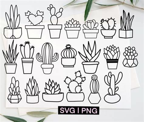 Succulent Clipart, Succulent Svg Bundle, Cactus Svg Bundle, Cacti Svg ...