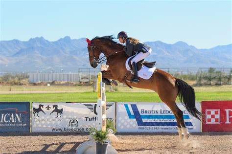 Mini Horses Jumping Really High