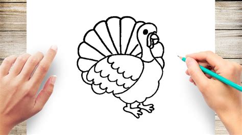 Easy Turkey Drawing Step By Step