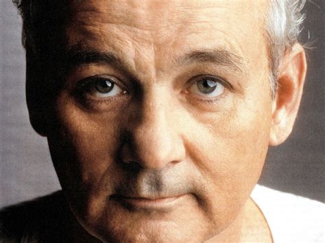 Bill Murray wallpaper | 1280x960 | #61765