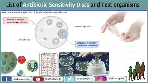 List Of Antibiotic Sensitivity Discs And Test Organisms | Lab Tests Guide