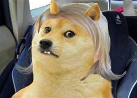 Side Eyeing Doge | Side Eyeing Chloe | Know Your Meme