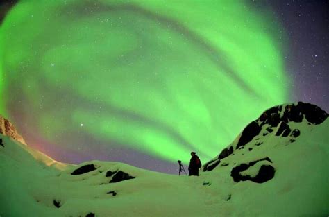 Green sky in Greenland | Northern lights, Northern lights aurora ...