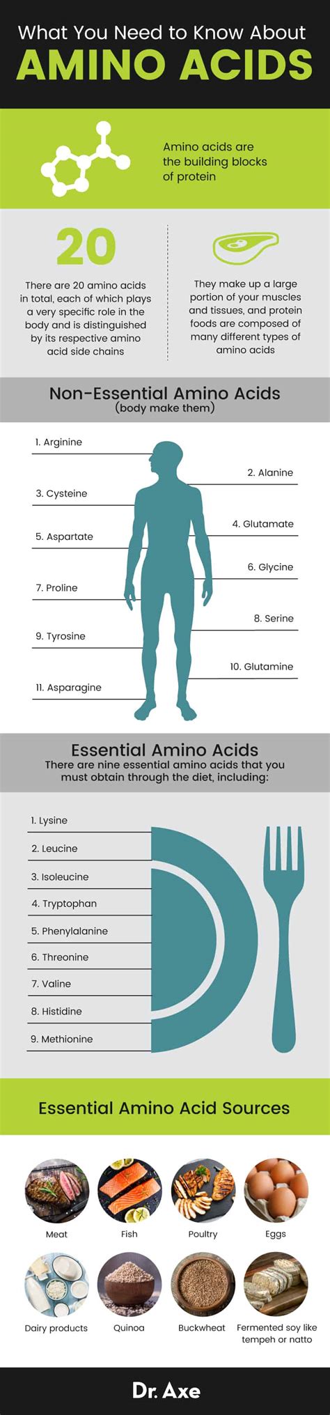 Amino Acids: Benefits, Foods, Essential vs. Non-Essential – General ...