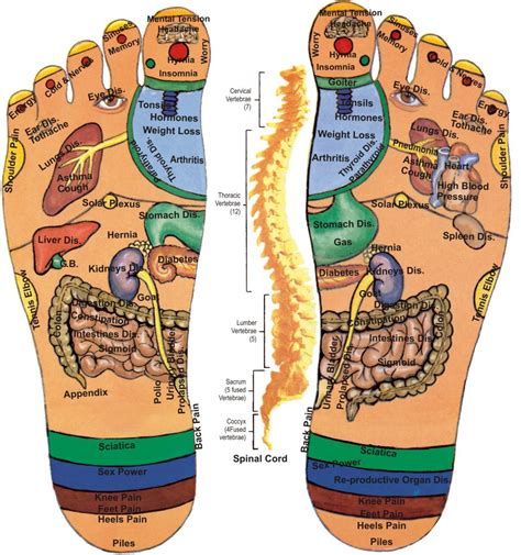 Diagram Of Pressure Points On Feet