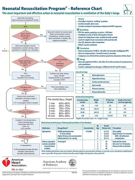 Image result for nrp pdf epinephrine | Neonatal nurse, Neonatal ...