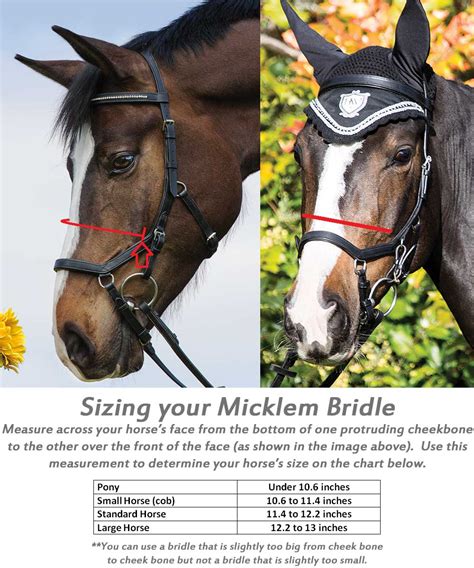 Micklem Bridle Fitting Guide