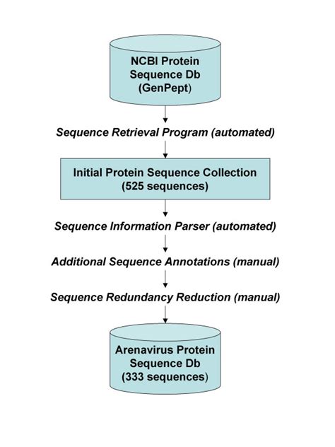 Arenavirus protein sequence database construction flowchart. | Download ...