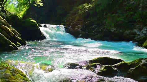 Tuyển chọn những Background video of nature Đẹp nhất trên thế giới