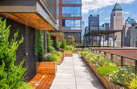 The Green Revolution Spreading Across Our Rooftops - The New York Times