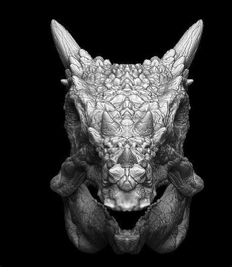 Dracorex Skull 3D model | CGTrader