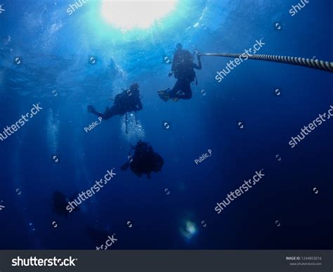 Underwater Photography Scuba Diver Doing Controlled Stock Photo ...