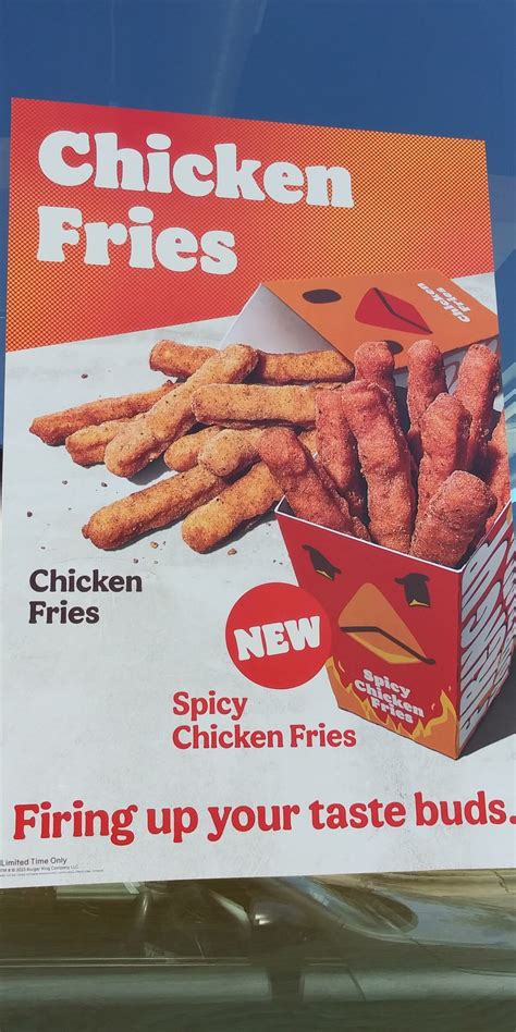 Burger King Spicy Chicken Fries - Truth in Advertising