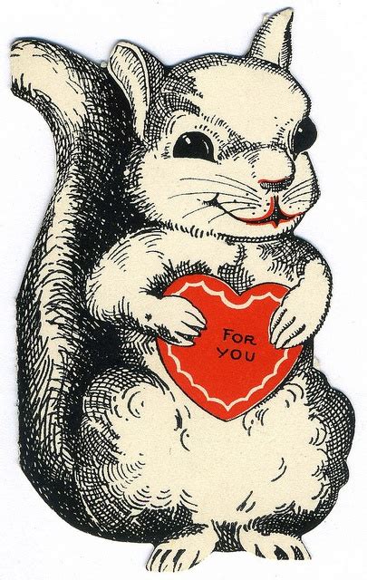 Squirrely | Vintage valentines, Valentine day love, Valentines