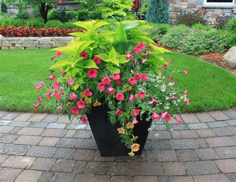 Container Gardening | Reder Landscaping - Landscape Design & Lawn Care