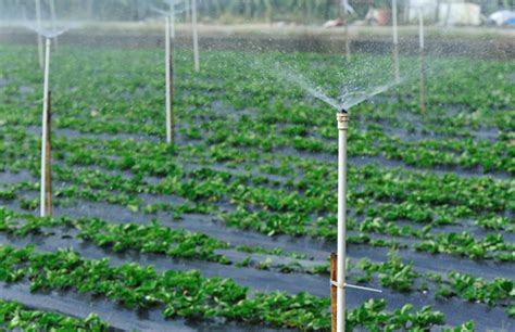 3 Best-Kept Secrets about Farm Irrigation Systems