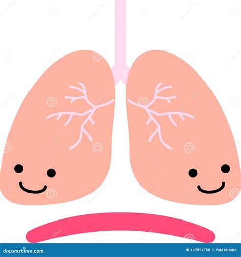 Illustration of a Cute Lung and Diaphragm Stock Vector - Illustration ...