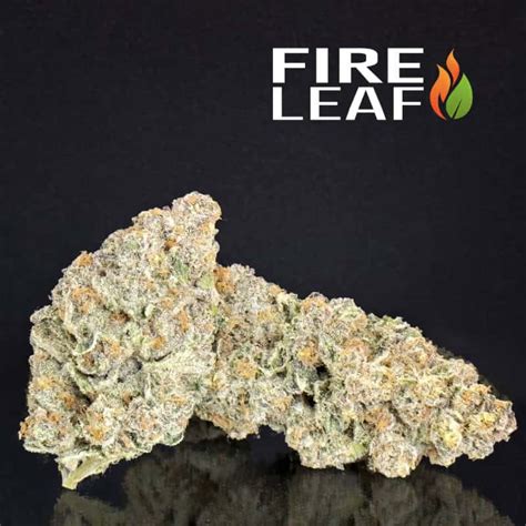 Super Boof: A Zingy Hybrid Strain with Intense Effects - Fire Leaf ...