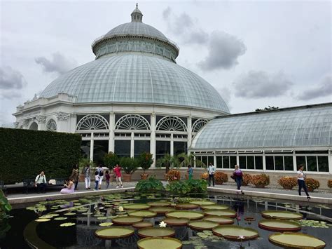 New York Botanical Garden guide including exhibitions and events