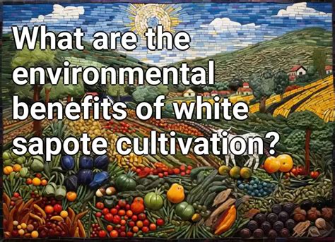 What are the environmental benefits of white sapote cultivation ...