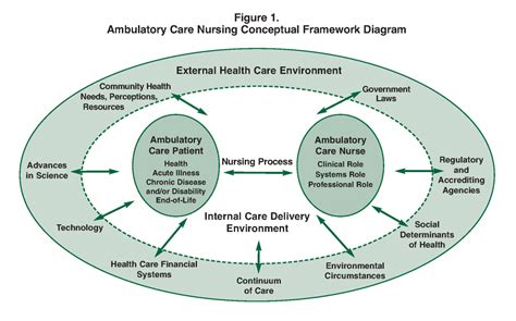 Conceptual Framework | American Academy of Ambulatory Care Nursing